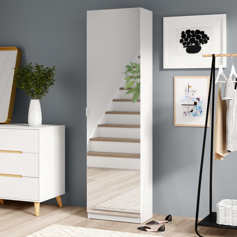 Shoe storage cabinet mirror door